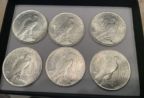 Usa peace dollar 1922 - dollar, 1922/1923