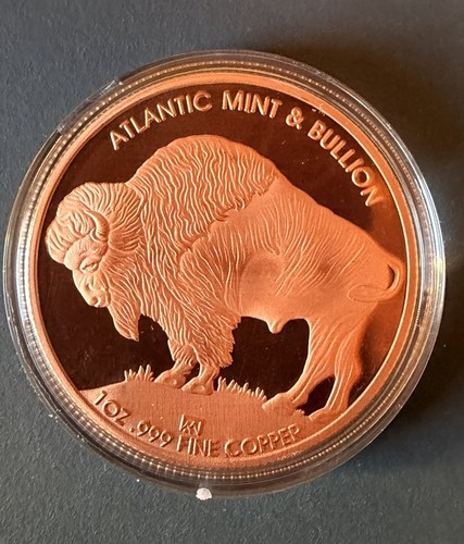Kupfermedaille buffalo - 1,